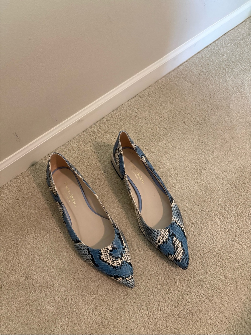 Pedro Anton Blue Snake-Print Pointed Toe Flats